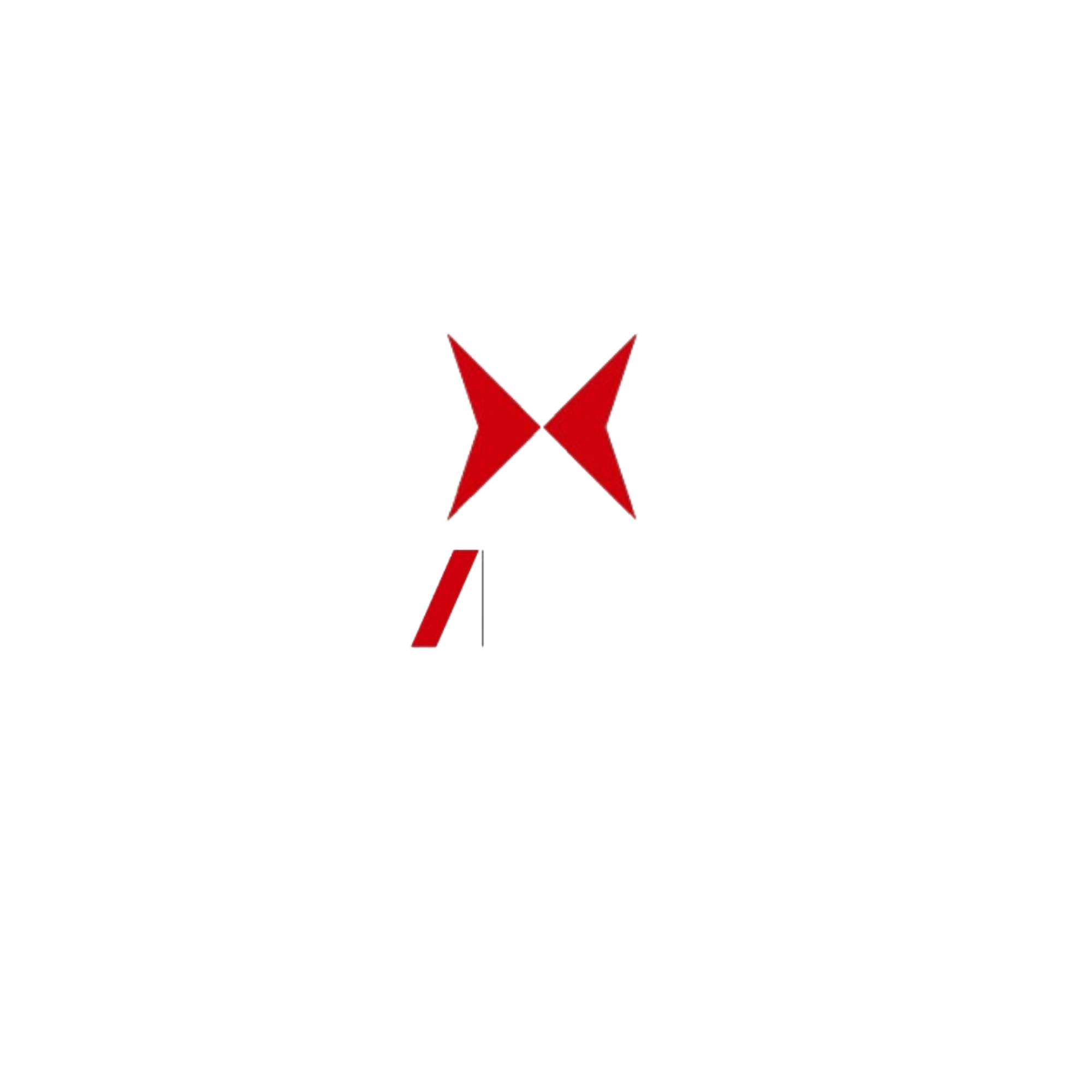 Logo Shineray
